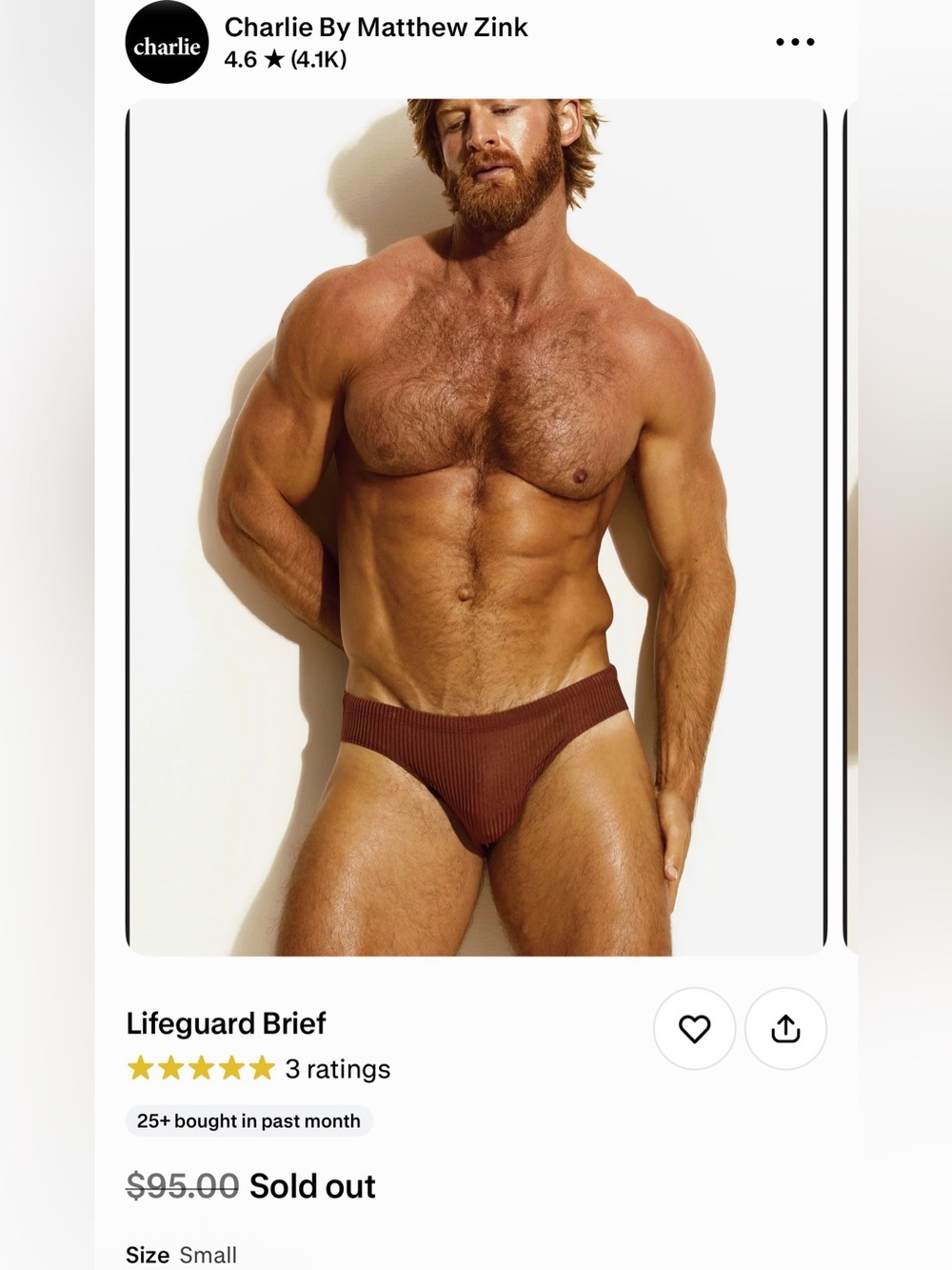 Charlie by MZ Ribbed Brief in Rust - Picture 2 of 2